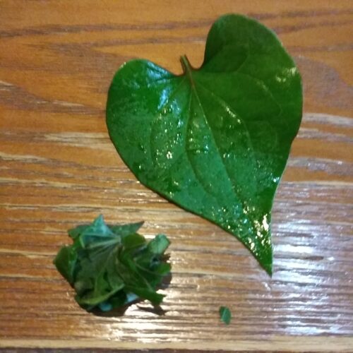 よく揉んで水分を出す